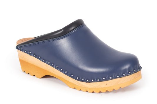 Rembrandt Dark Blue